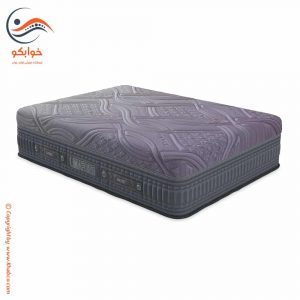 تشک داتیس لیمافورد