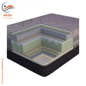 تشک داتیس لیمافورد