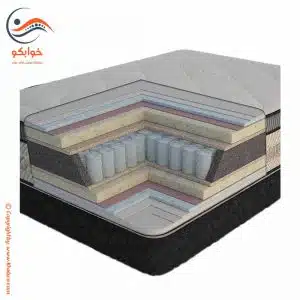 تشک داتیس مارگاریتا