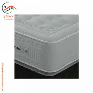تشک داتیس رابون