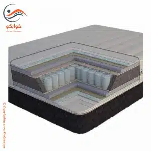 تشک داتیس مدل رابون