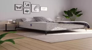 جدیدترین تشک رویا