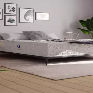 جدیدترین تشک رویا