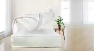 نمایندگی‌های رسمی تشک رویا