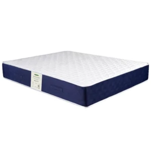 قیمت تشک دونفره ویستر مدل ویس پاکت سایز 160 در 200 سانتیمتر