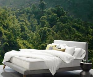 Eco Friendly Mattresses