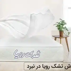 نمایندگی تشک رویا در نبرد