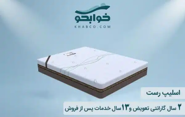 تشک زست اسلیپ رست برای دیسک کمر