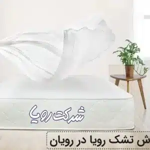 نمایندگی تشک رویا در رویان