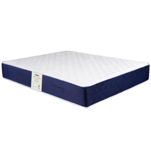 قیمت تشک دونفره ویستر مدل کینگ ویستر سایز 160 در 200 سانتیمتر