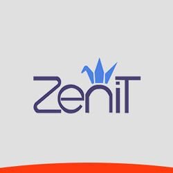 قیمت و خرید تشک زنیت
