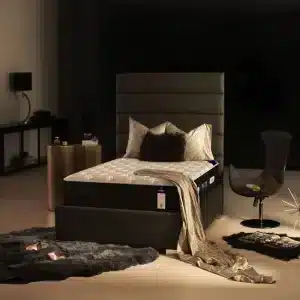 تشک پارادوکس گرین رست