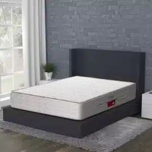 تشک تن آسای مدل آسایا سایز 100 در 200 سانتیمتر