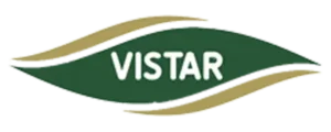 تشک ویستر