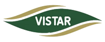 تشک ویستر